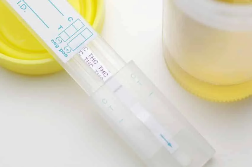 drug test
