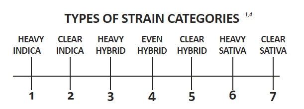 types of strains