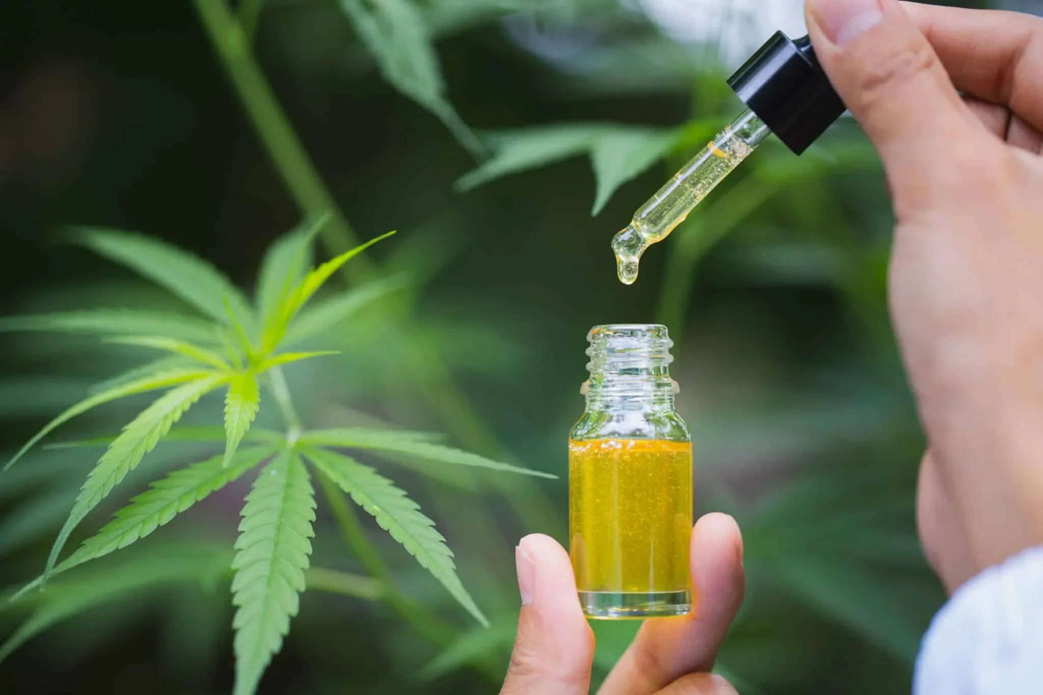 8eebcf7cf7e142503c04024c2699dd89a69ebf181