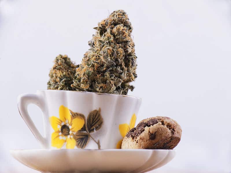 What You Should Know About Cannabis-Infused Edibles