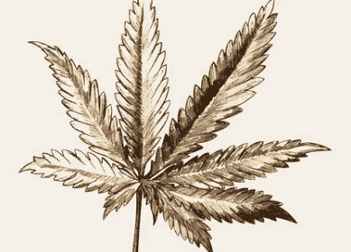 early medicinal cannabis use