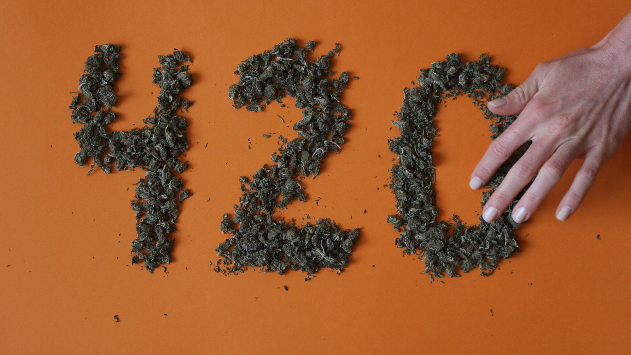 hand make a sign 420 from a hemp buds on red background
